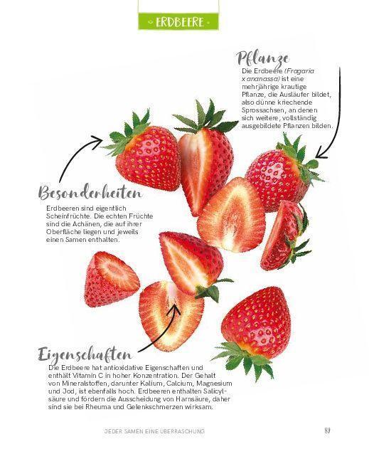 Bild: 9783966641852 | Regrowing - Neue Triebe aus Obst- und Gemüseresten | Eliana Ferioli