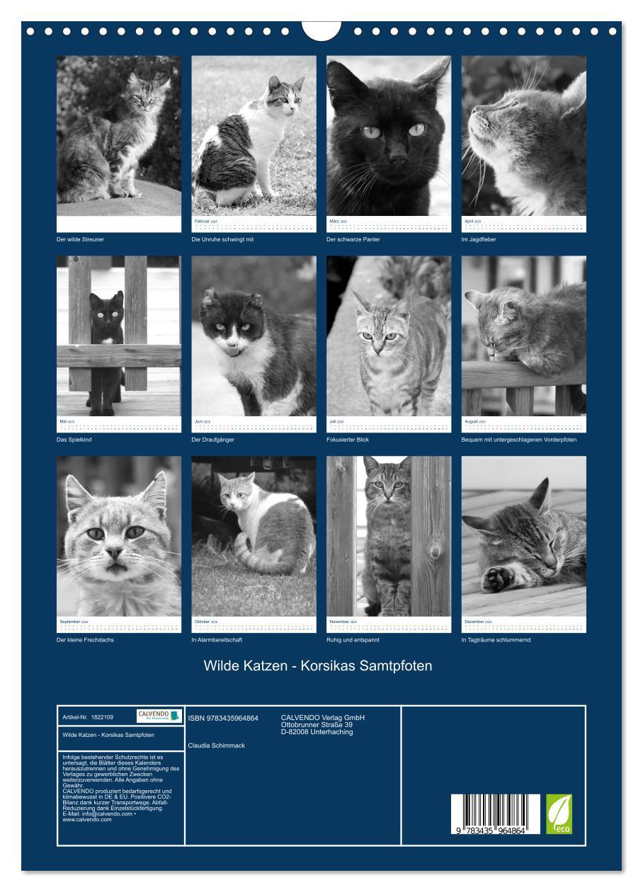 Bild: 9783435964864 | Wilde Katzen - Korsikas Samtpfoten (Wandkalender 2025 DIN A3 hoch),...