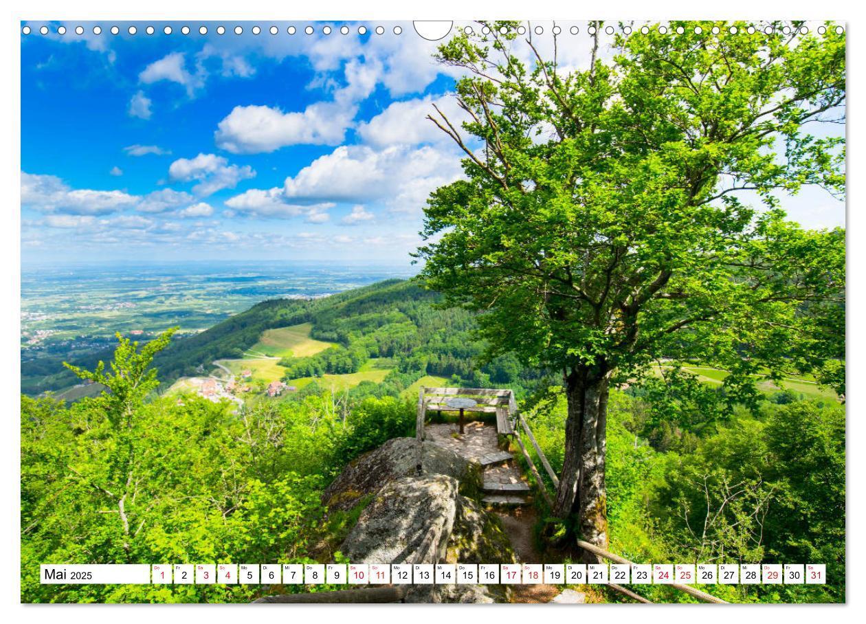 Bild: 9783435207831 | Idyllischer Schwarzwald (Wandkalender 2025 DIN A3 quer), CALVENDO...