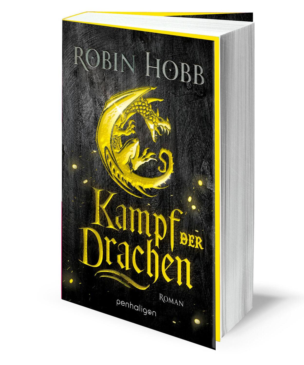 Bild: 9783764532581 | Kampf der Drachen | Roman | Robin Hobb | Taschenbuch | 464 S. | 2022
