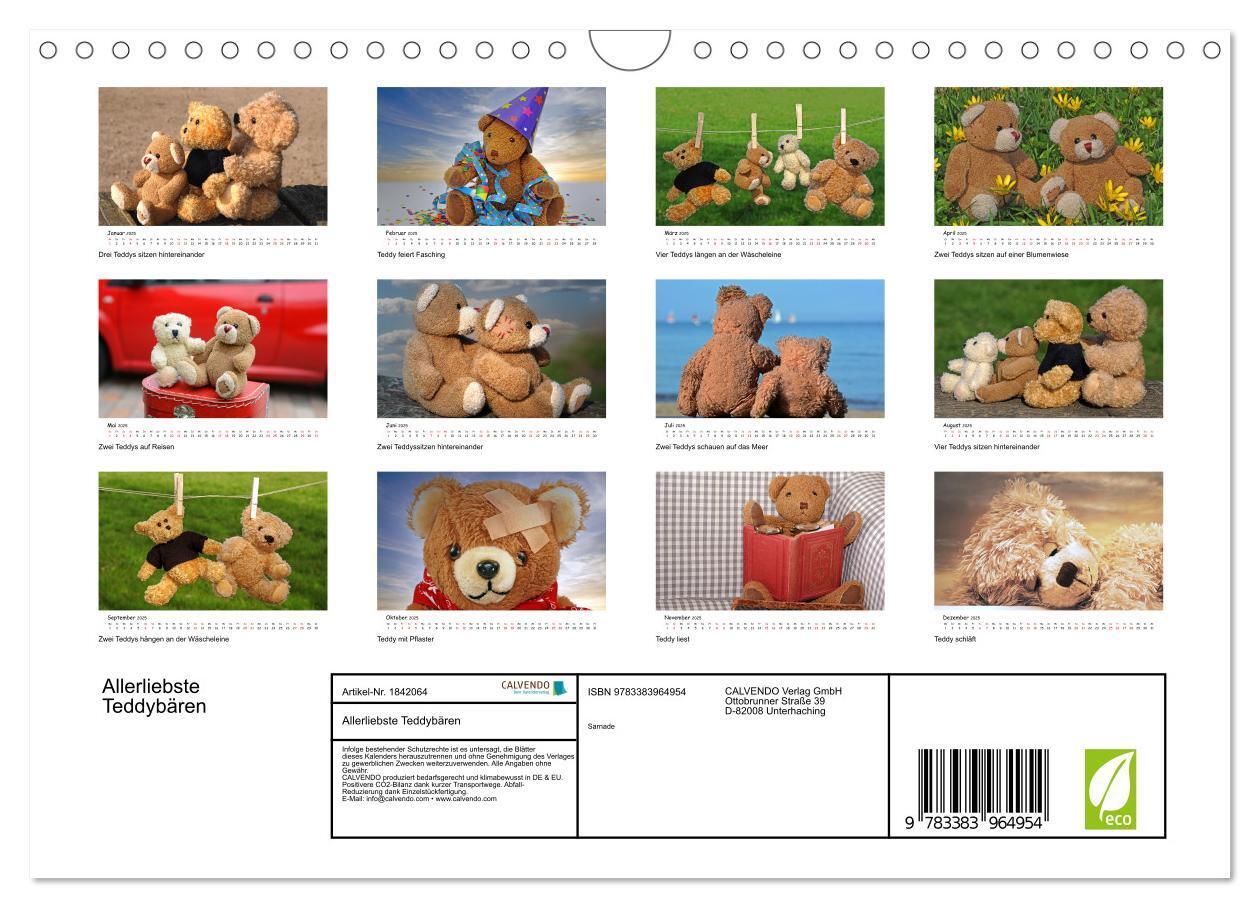 Bild: 9783383964954 | Allerliebste Teddybären (Wandkalender 2025 DIN A4 quer), CALVENDO...