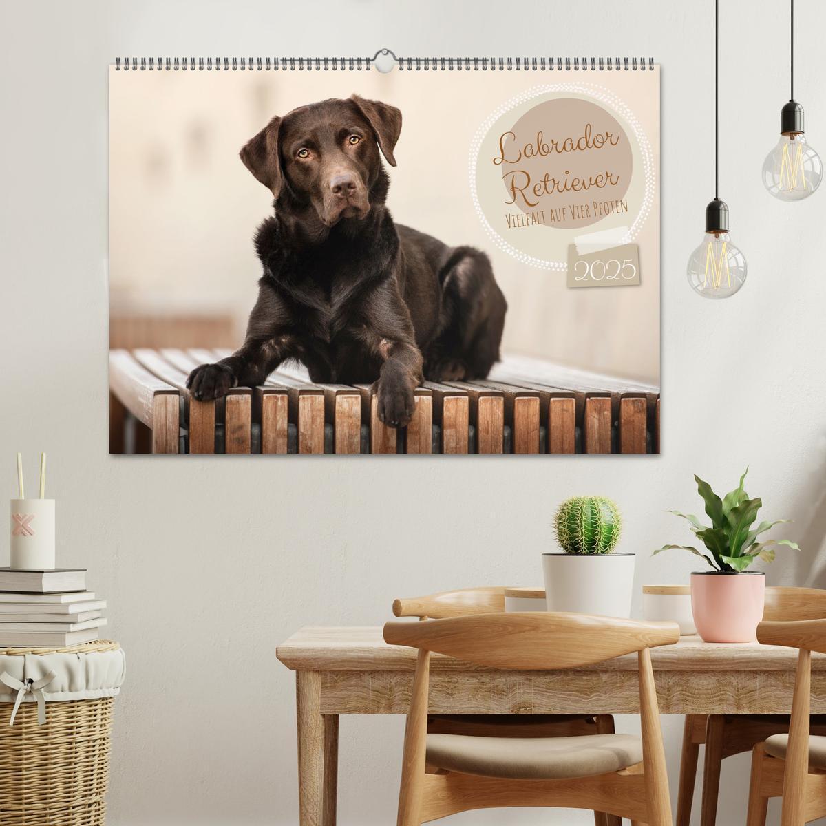 Bild: 9783383959592 | Labrador Retriever - Vielfalt auf Vier Pfoten (Wandkalender 2025...