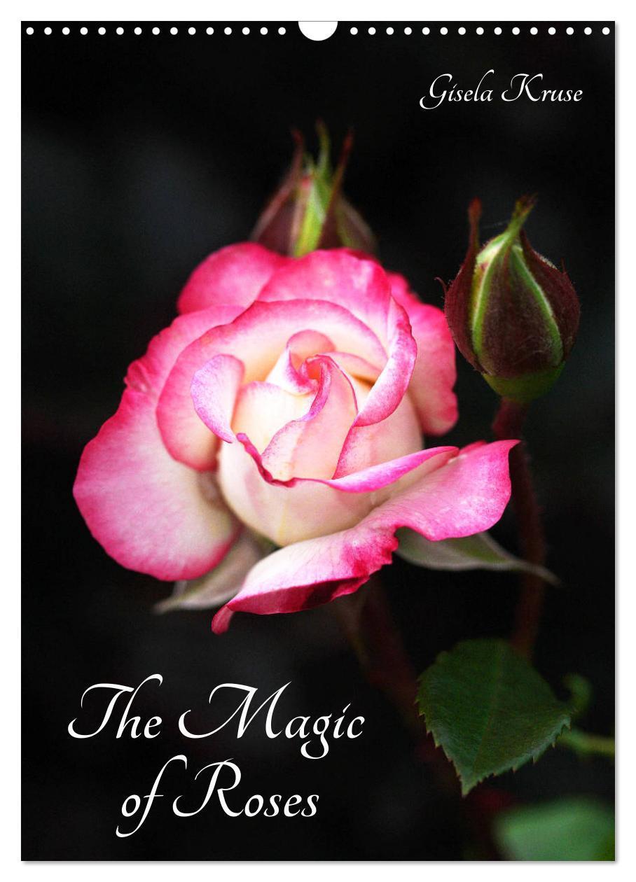 Cover: 9781325854653 | The Magic of Roses (Wall Calendar 2024 DIN A3 portrait), CALVENDO...