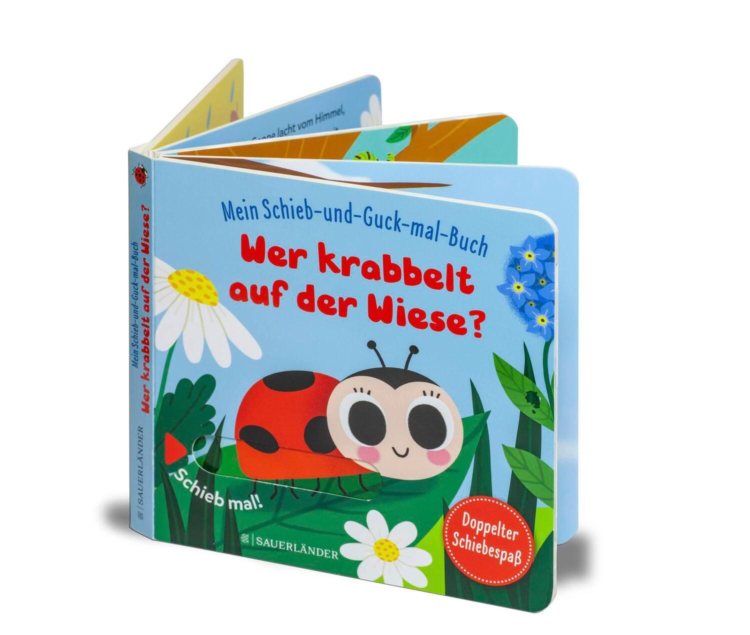 Bild: 9783737358170 | Mein Schieb &amp; Guck-mal-Buch: Wer krabbelt auf der Wiese? | Menge