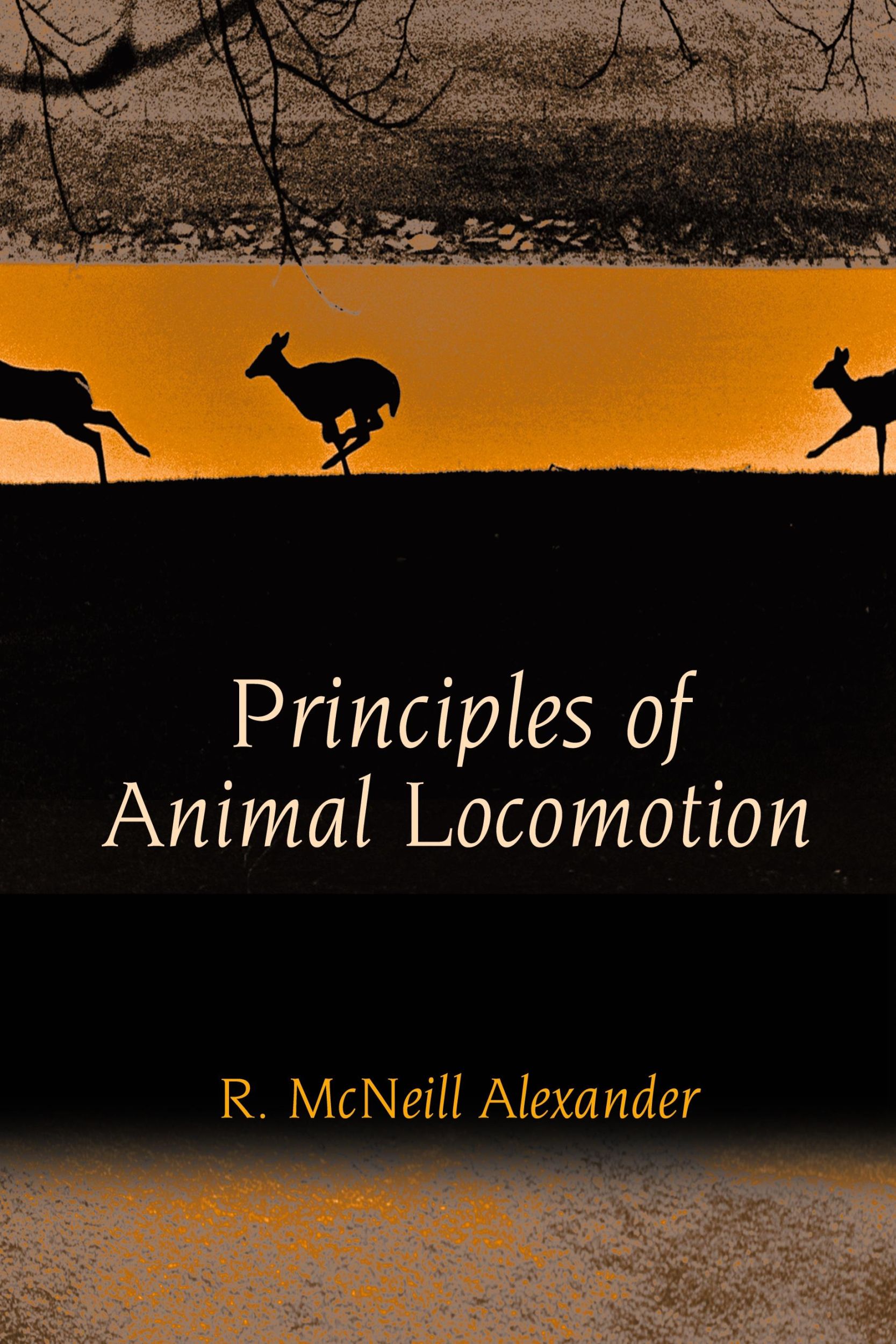 Cover: 9780691126340 | Principles of Animal Locomotion | R. McNeill Alexander | Taschenbuch