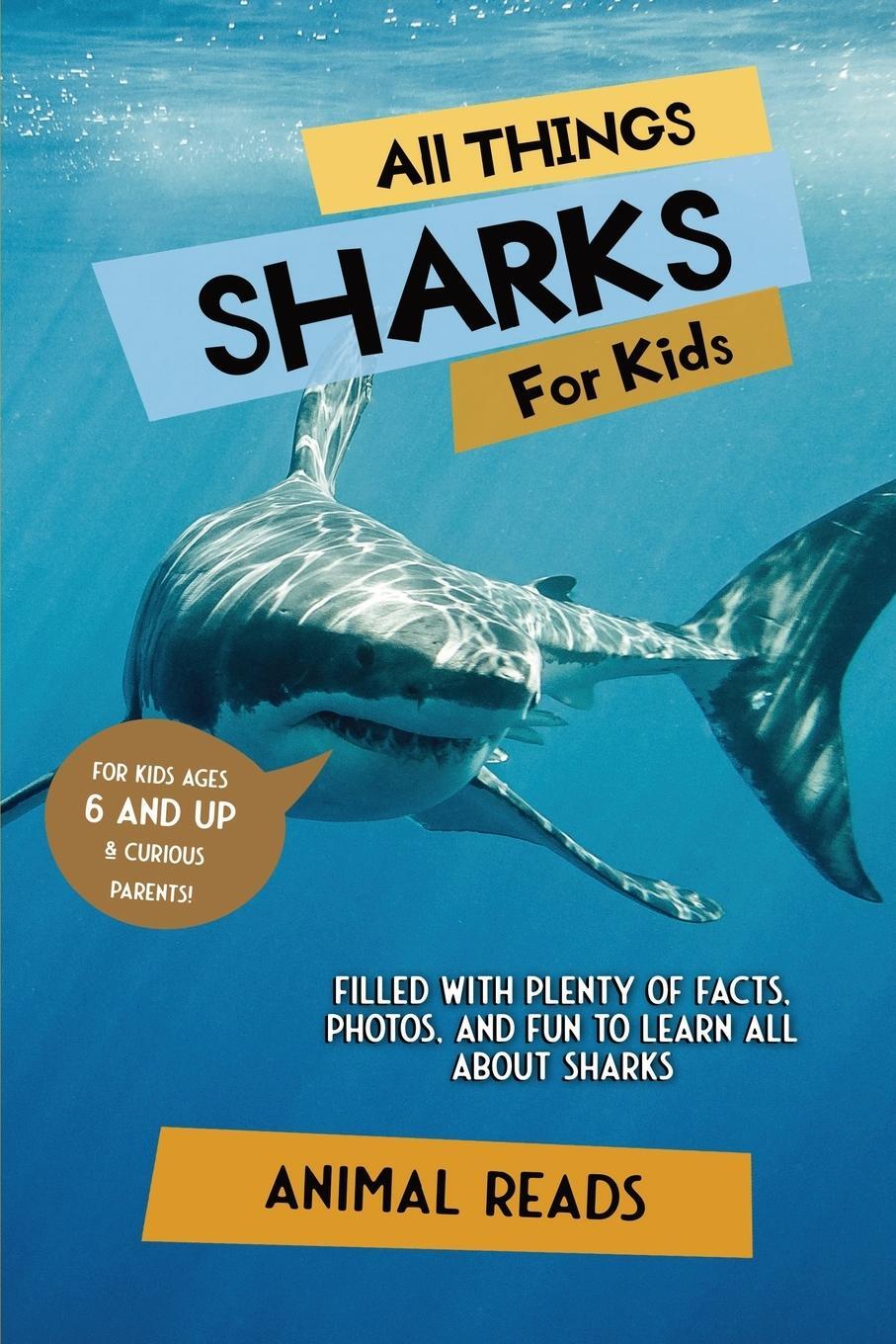 Cover: 9783967720990 | All Things Sharks For Kids | Animal Reads | Taschenbuch | Paperback