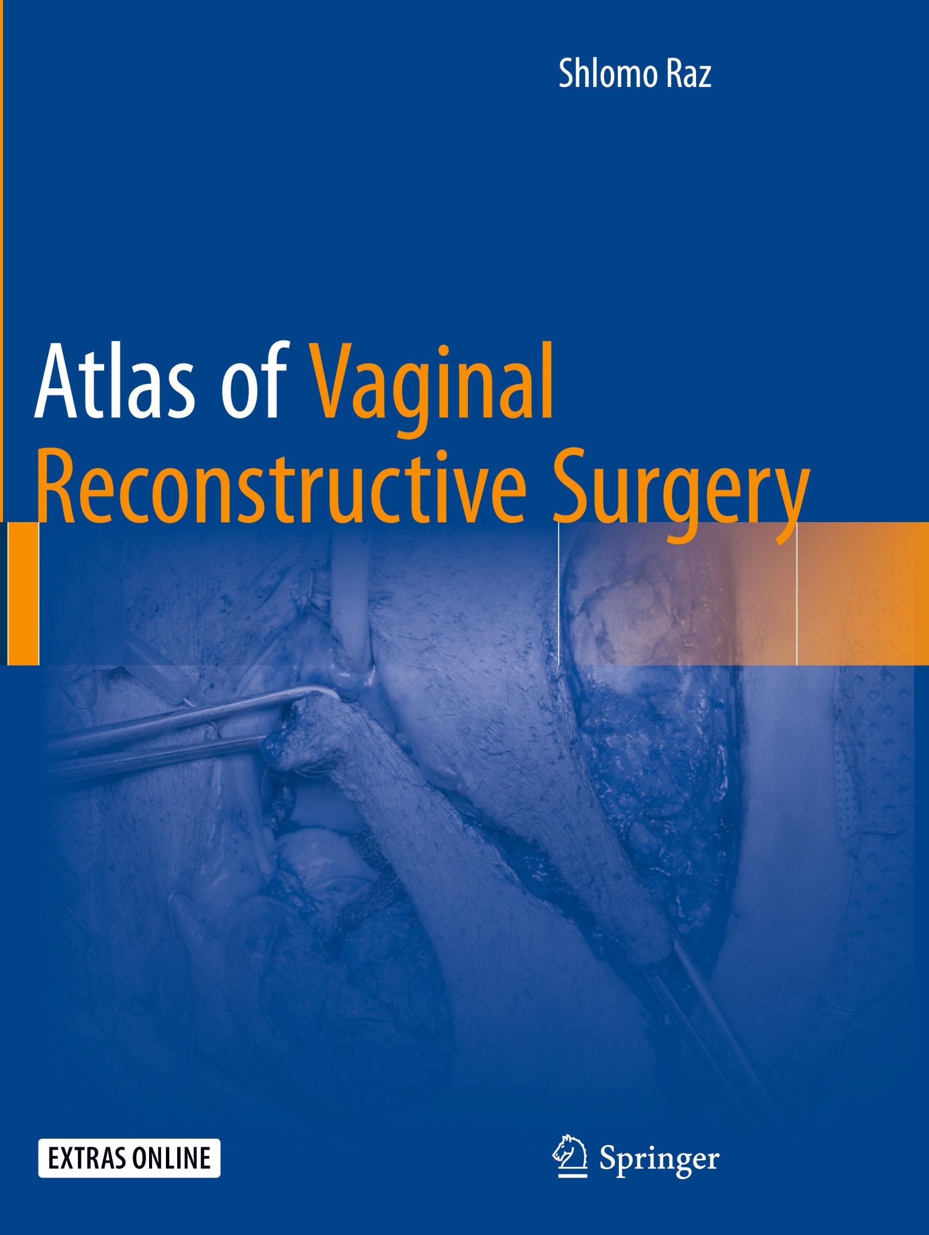 Cover: 9781493946921 | Atlas of Vaginal Reconstructive Surgery | Schlomo Raz | Taschenbuch