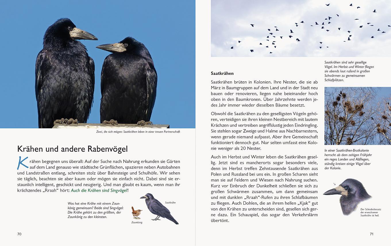 Bild: 9783981548570 | Wawra's Naturbuch, Band 1: Säugetiere, Vögel, Reptilien, Amphibien