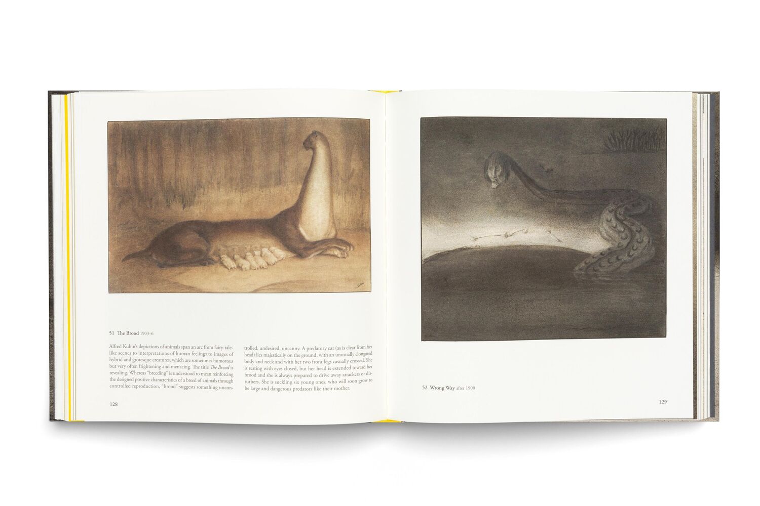 Bild: 9783775757737 | Alfred Kubin | The Aesthetics of Evil | Elisabeth Dutz | Buch | 232 S.