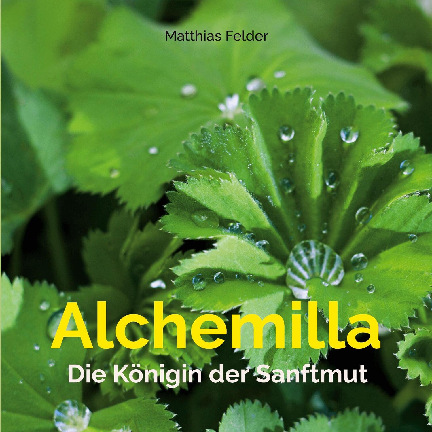Cover: 9783756223466 | Alchemilla | Die Königin der Sanftmut | Matthias Felder | Taschenbuch