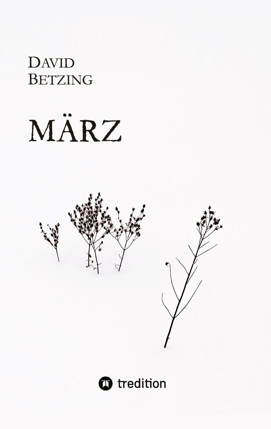 Cover: 9783384041234 | März | David Betzing | Buch | HC gerader Rücken kaschiert | 192 S.