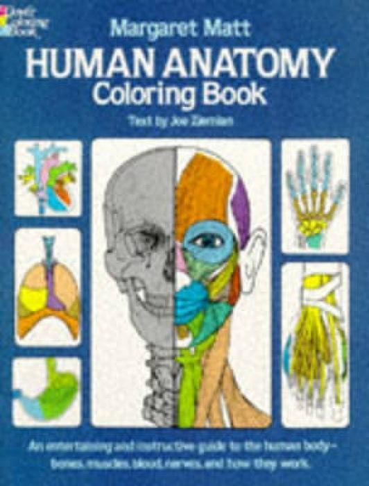 Cover: 9780486241388 | Human Anatomy | Margaret Matt (u. a.) | Taschenbuch | Englisch | 1982