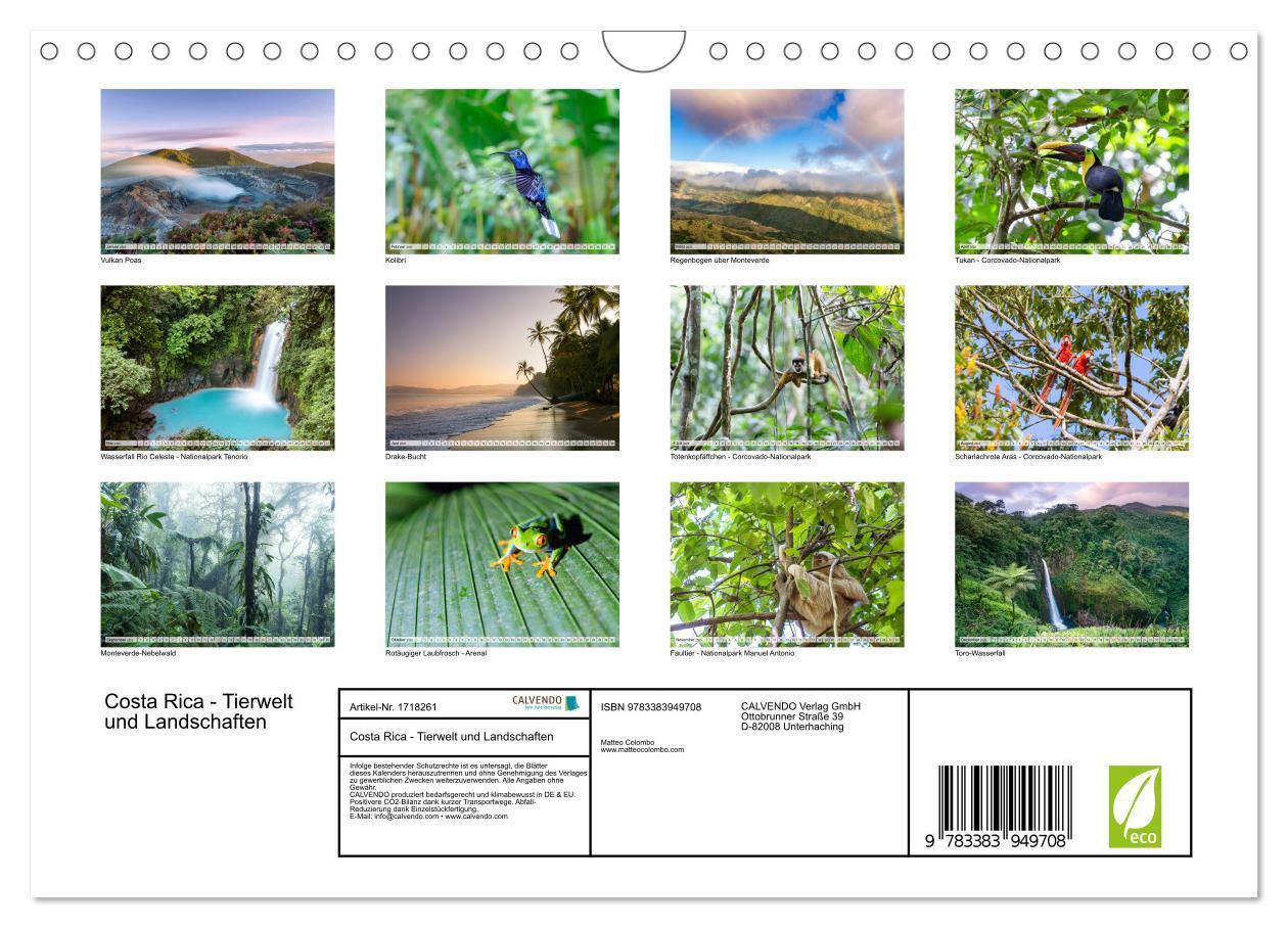 Bild: 9783383949708 | Costa Rica - Tierwelt und Landschaften (Wandkalender 2025 DIN A4...