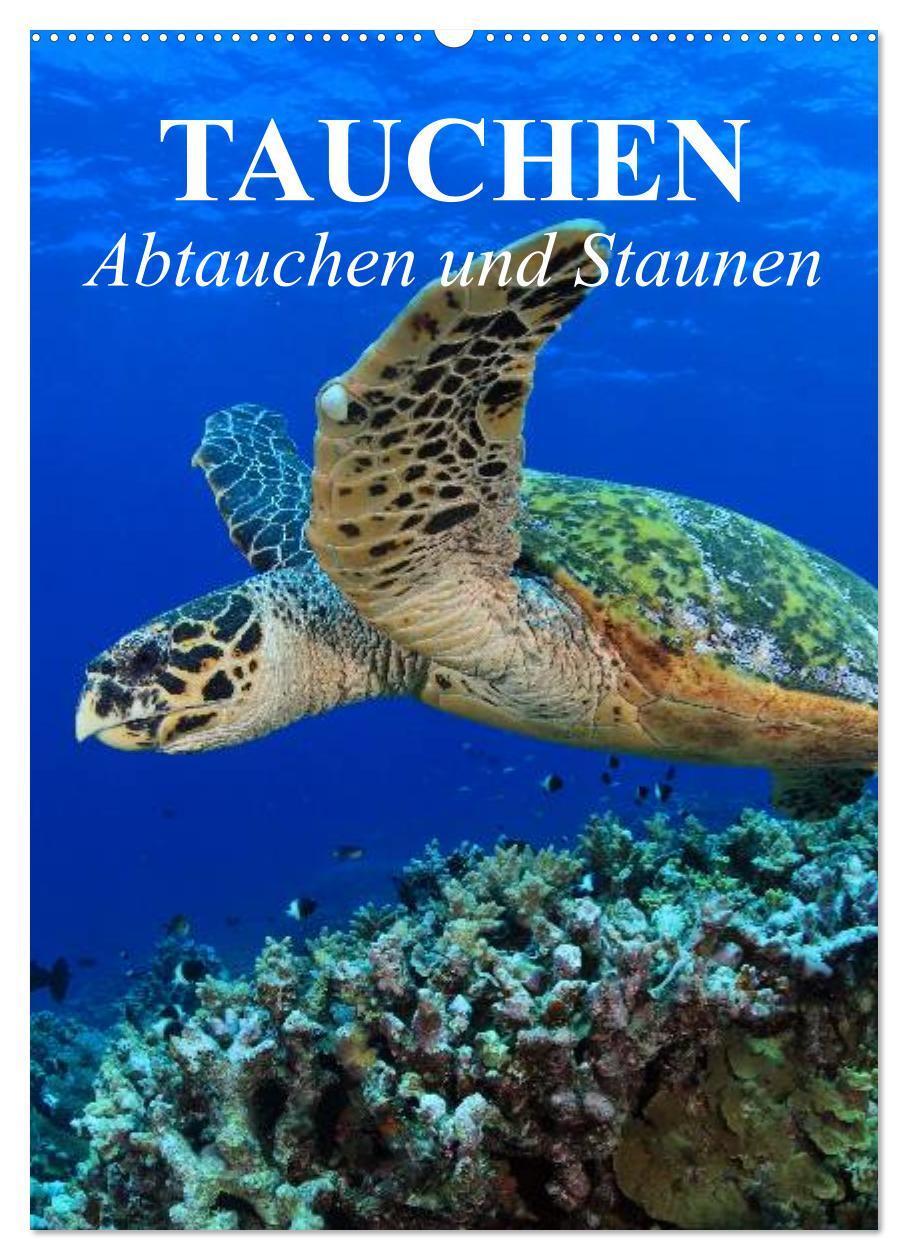 Cover: 9783383458606 | Tauchen - Abtauchen und Staunen (Wandkalender 2024 DIN A2 hoch),...