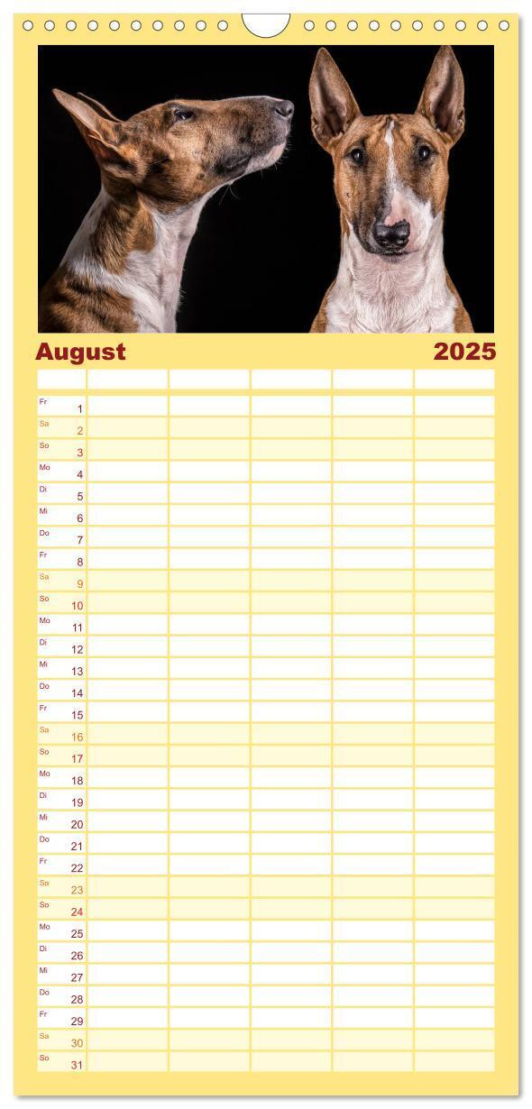 Bild: 9783457123768 | Familienplaner 2025 - Bullterrier mit 5 Spalten (Wandkalender, 21 x...