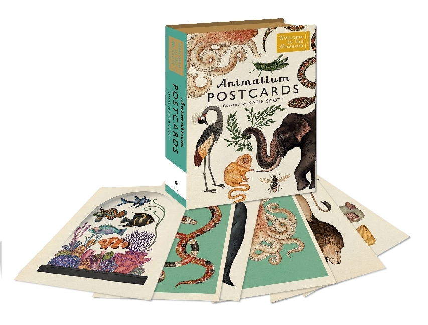 Cover: 9781783706259 | Animalium Postcards | Katie Scott | Box | Leinen (Buchleinen) | 12660