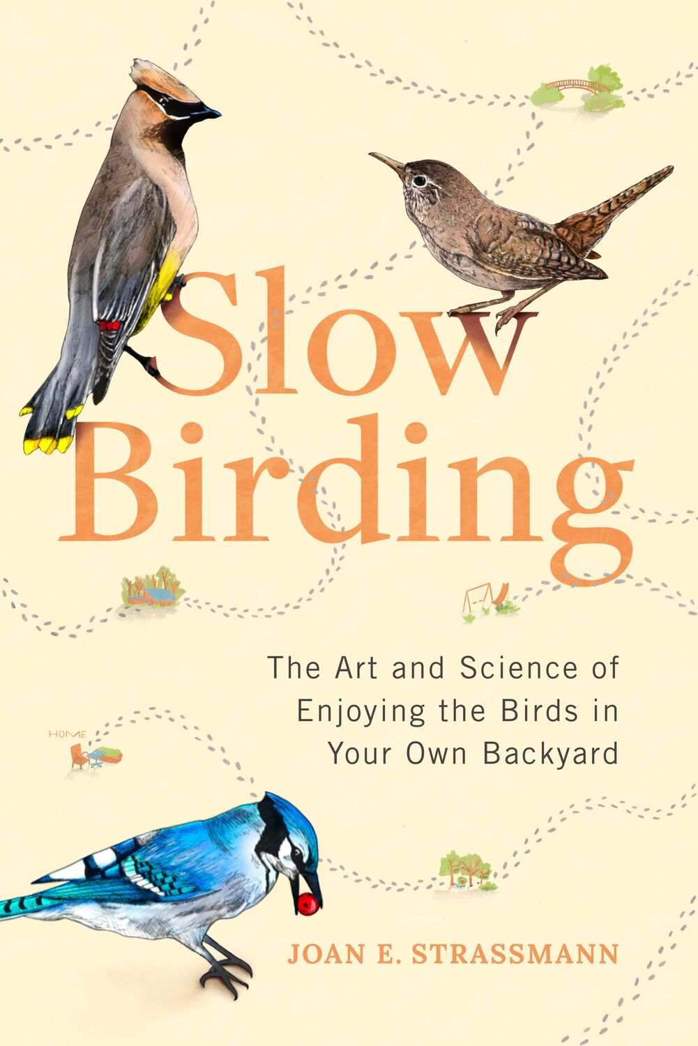 Cover: 9780593329924 | Slow Birding | Joan E Strassmann | Buch | Einband - fest (Hardcover)