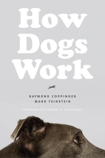 Cover: 9780226637761 | How Dogs Work | Mark Feinstein (u. a.) | Taschenbuch | Englisch | 2019