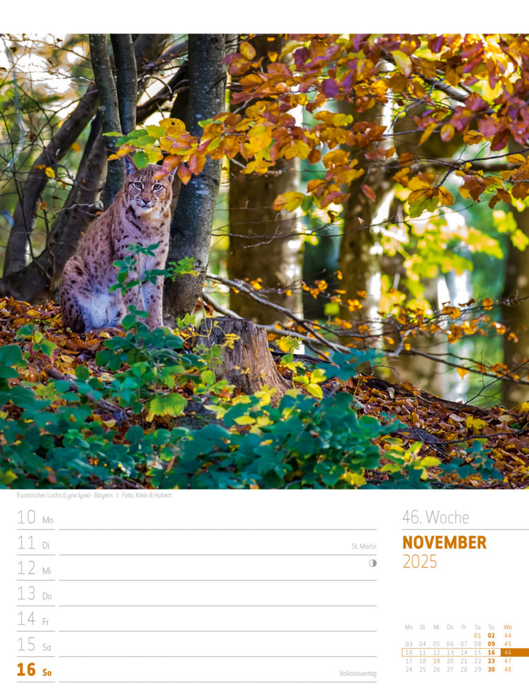 Bild: 9783838435275 | Abenteuer Deutschland - Naturparadiese Wochenplaner Kalender 2025