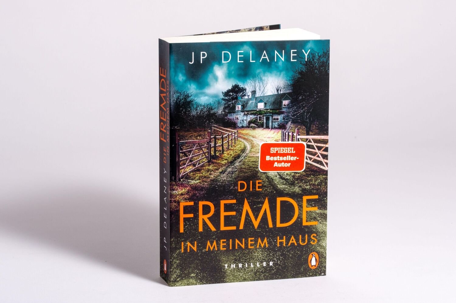 Bild: 9783328602880 | Die Fremde in meinem Haus | Thriller | Jp Delaney | Taschenbuch | 2023