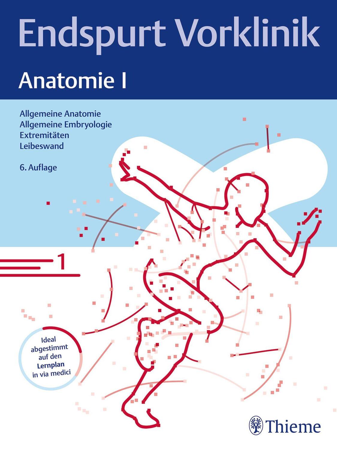 Cover: 9783132445222 | Endspurt Vorklinik: Anatomie I | Taschenbuch | Endspurt Vorklinik
