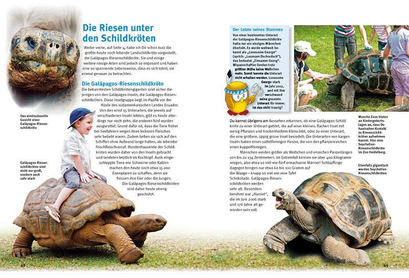 Bild: 9783866592988 | Entdecke die Schildkröten | Hans-Dieter Philippen | Buch | 56 S.