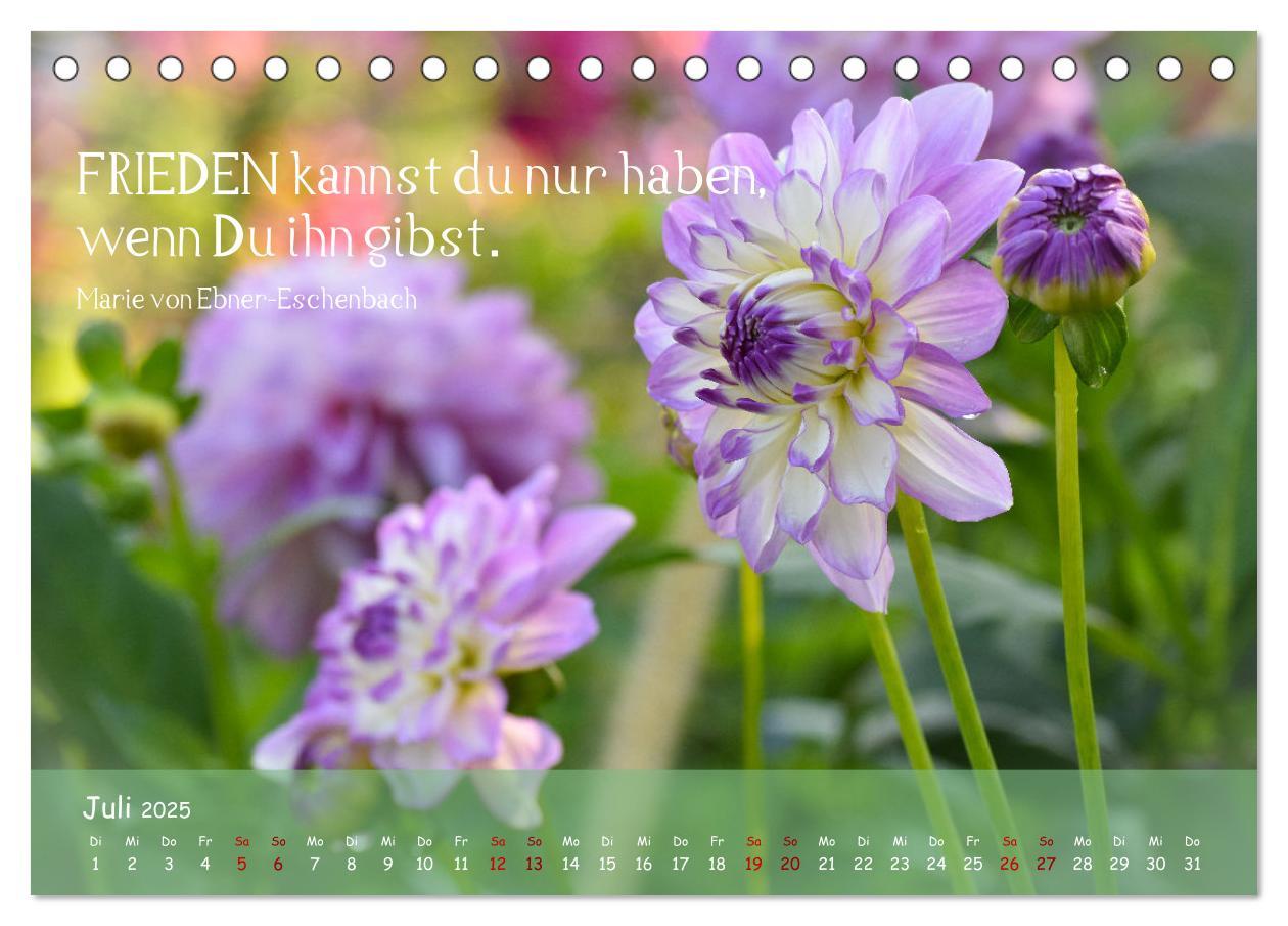 Bild: 9783435062010 | Blütenweisheiten (Tischkalender 2025 DIN A5 quer), CALVENDO...