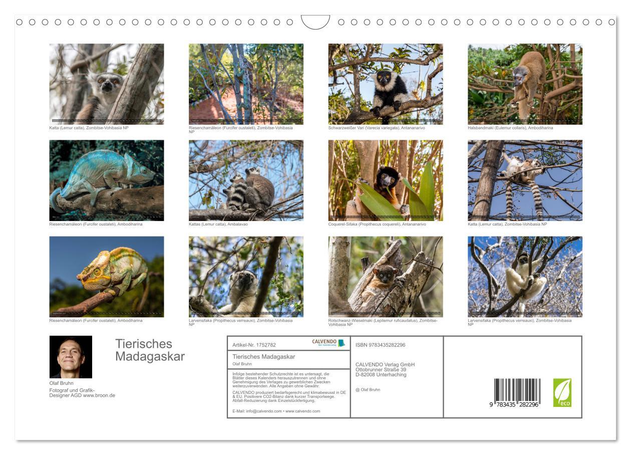 Bild: 9783435282296 | Tierisches Madagaskar (Wandkalender 2025 DIN A3 quer), CALVENDO...