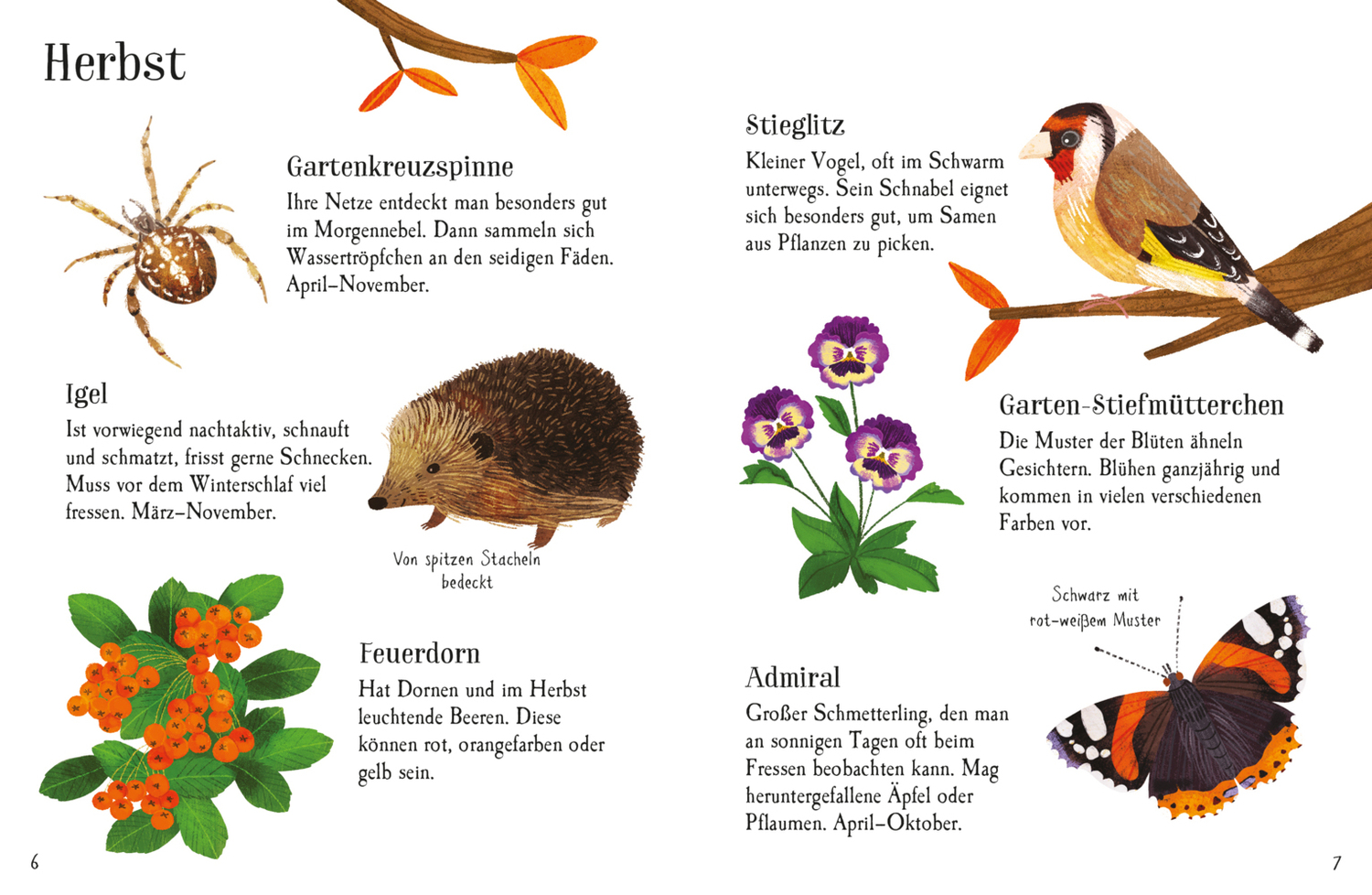 Bild: 9781035701261 | Usborne Minis Naturführer: Im Garten | Taschenbuch | 28 S. | Deutsch