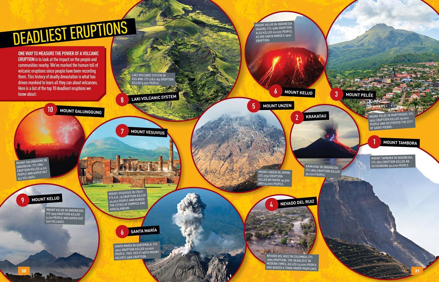 Bild: 9781426331428 | Absolute Expert: Volcanoes | National Geographic Kids (u. a.) | Buch