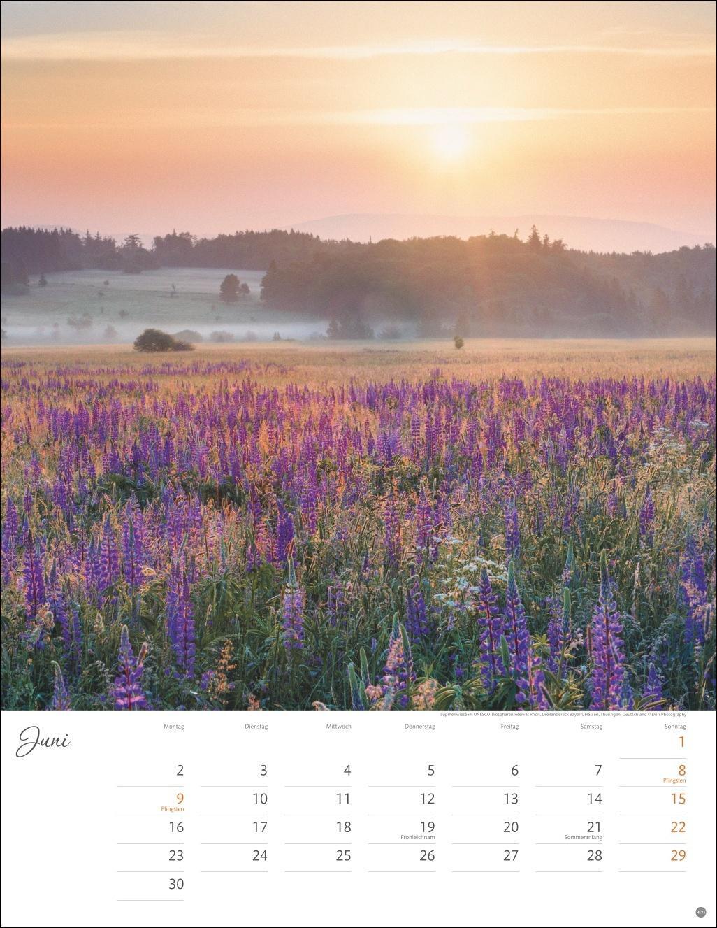 Bild: 9783756405268 | Jenseits der Hast Posterkalender 2025 | Heye | Kalender | 14 S. | 2025