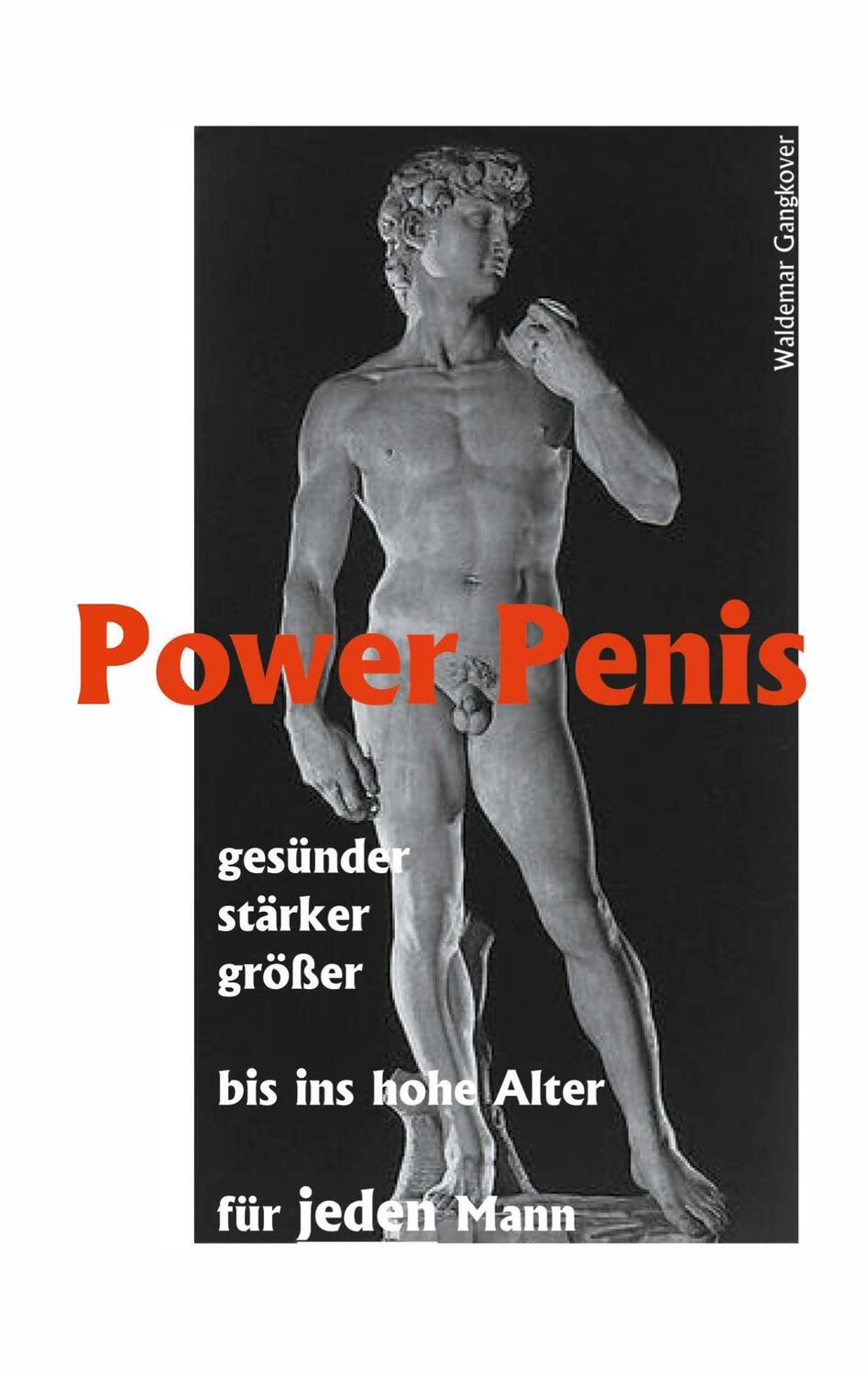 Cover: 9783831100415 | Power Penis | Waldemar Gangkover | Taschenbuch | Paperback | 80 S.