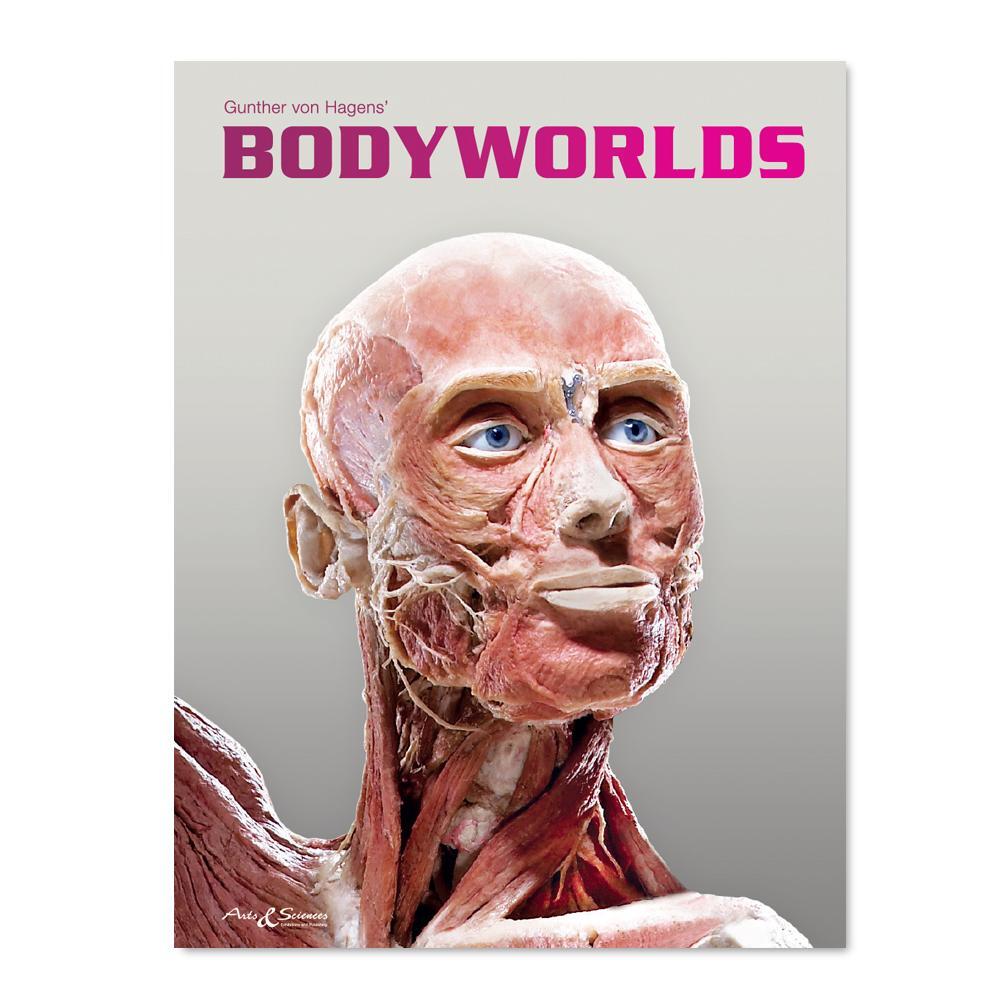 Cover: 9783937256368 | BODY WORLDS | The Original Exhibition of Real Human Bodies | Buch