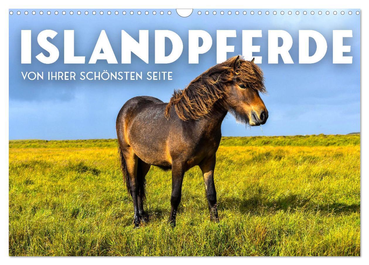Cover: 9783675643765 | Islandpferde - Von ihrer schönsten Seite (Wandkalender 2024 DIN A3...