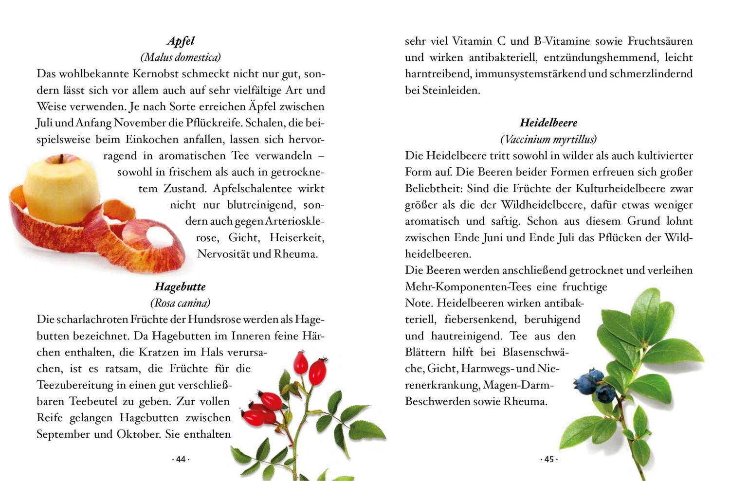 Bild: 9783710402531 | Das kleine Buch: Teegenuss aus Früchten, Blüten und Blättern | Gutjahr
