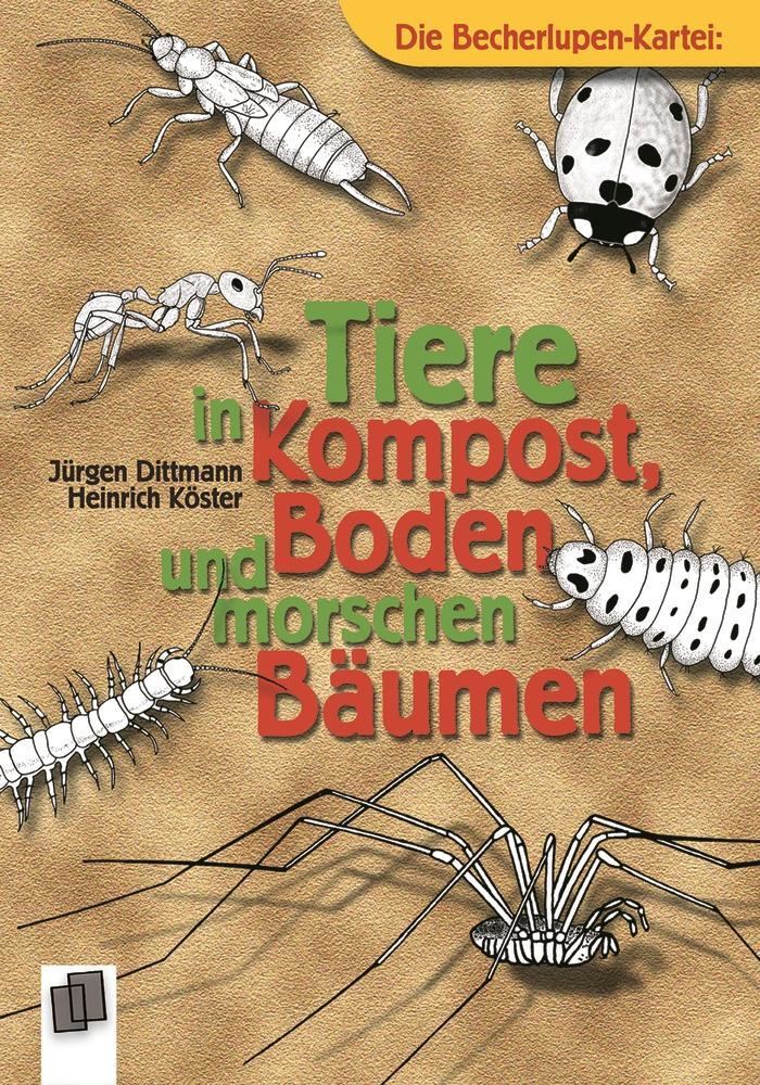 Cover: 9783860724149 | Tiere in Kompost, Boden und morschen Bäumen | Jürgen Dittmann (u. a.)