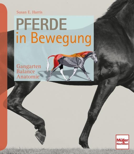 Cover: 9783275020300 | Pferde in Bewegung | Gangarten - Balance - Anatomie | Susan E. Harris
