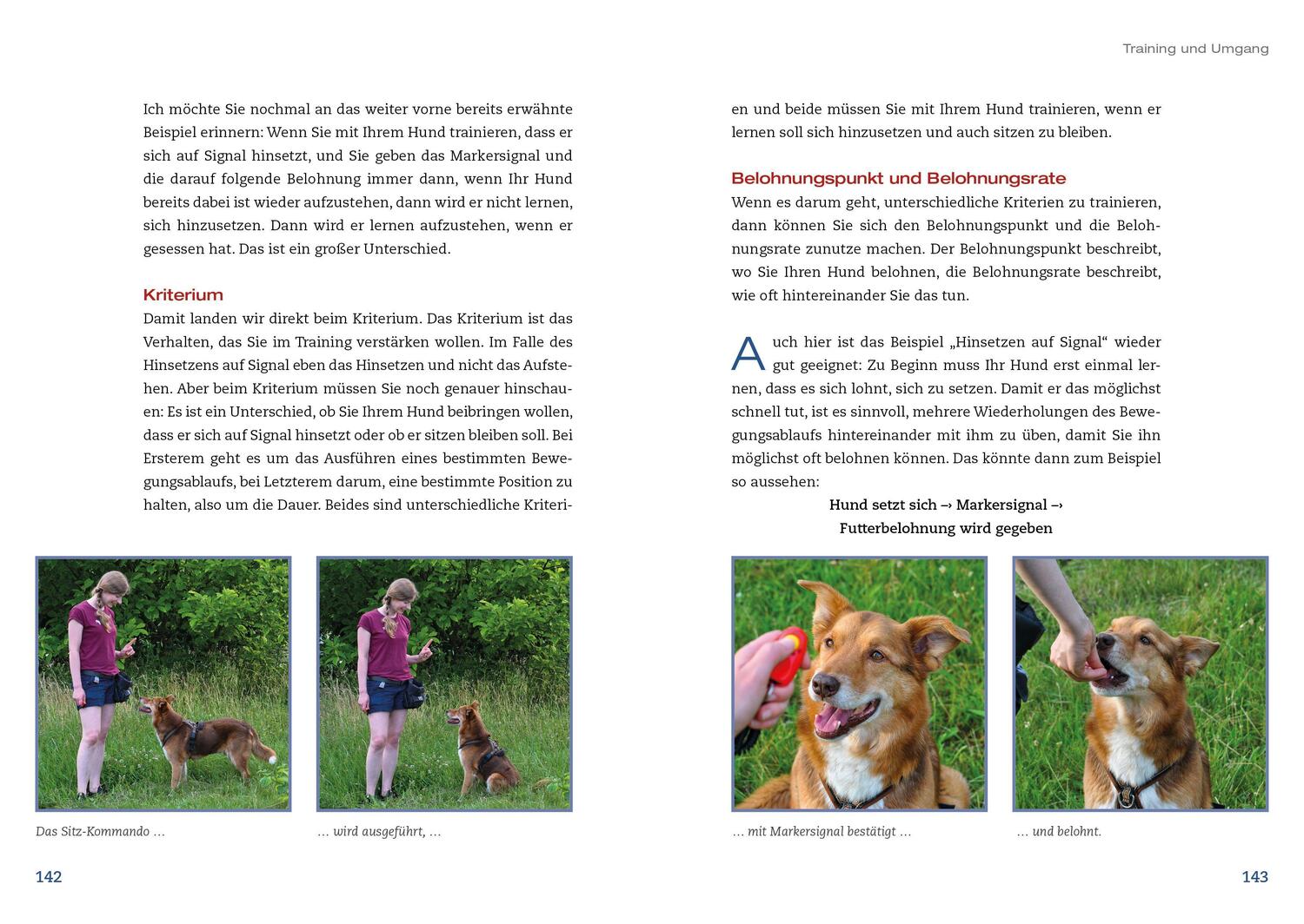 Bild: 9783936188783 | Hunde achtsam führen | Maria Rehberger | Buch | 184 S. | Deutsch