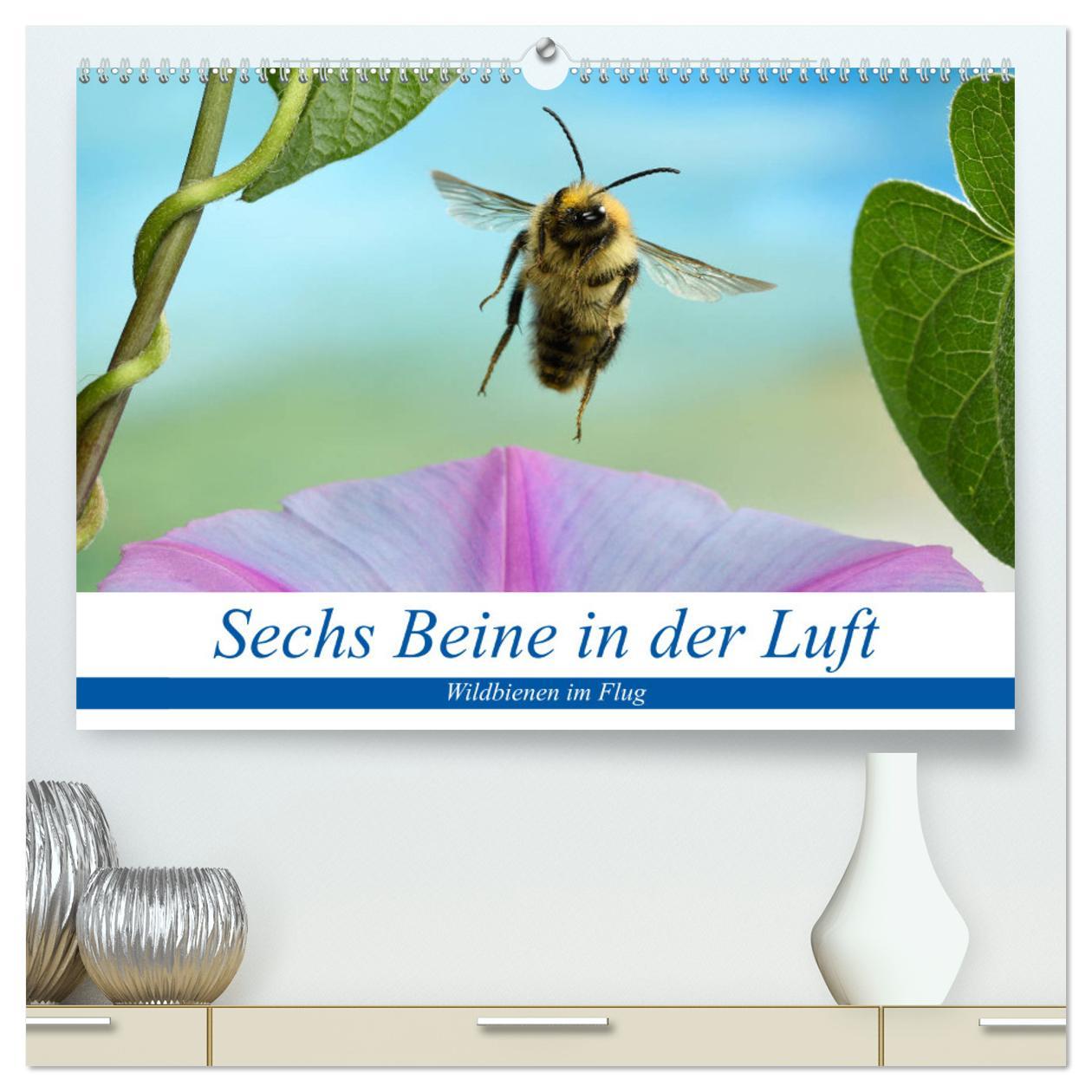 Cover: 9783435218899 | Sechs Beine in der Luft - Wildbienen im Flug (hochwertiger Premium...