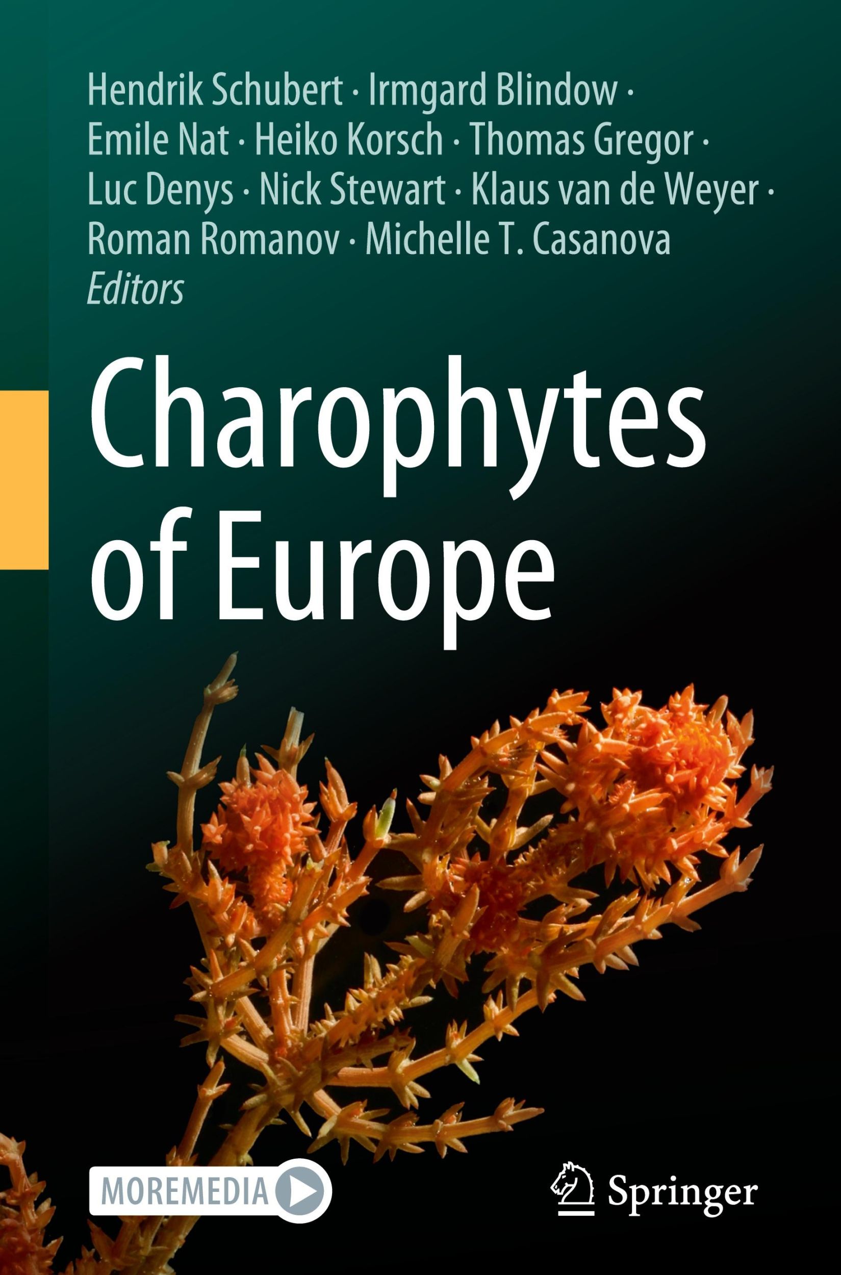 Cover: 9783031318979 | Charophytes of Europe | Hendrik Schubert (u. a.) | Buch | xiii | 2024