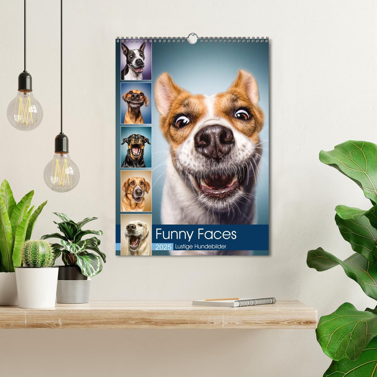 Bild: 9783435995523 | Funny Faces - Lustige Hundebilder (Wandkalender 2025 DIN A3 hoch),...