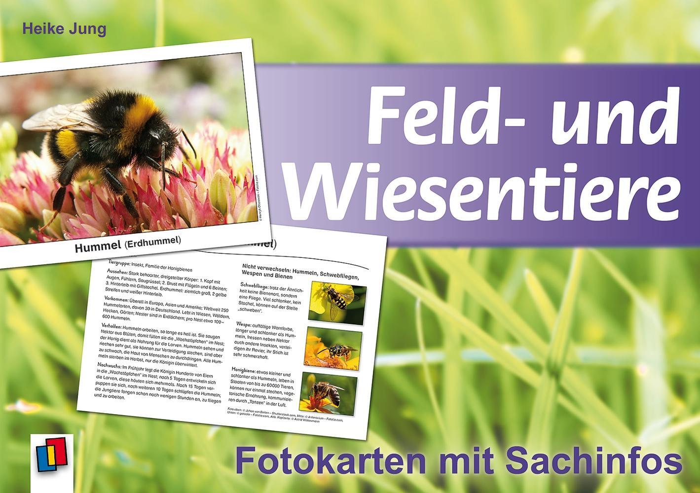 Cover: 9783834604330 | Feld- und Wiesentiere - Fotokarten mit Sachinfos | Heike Jung | Box