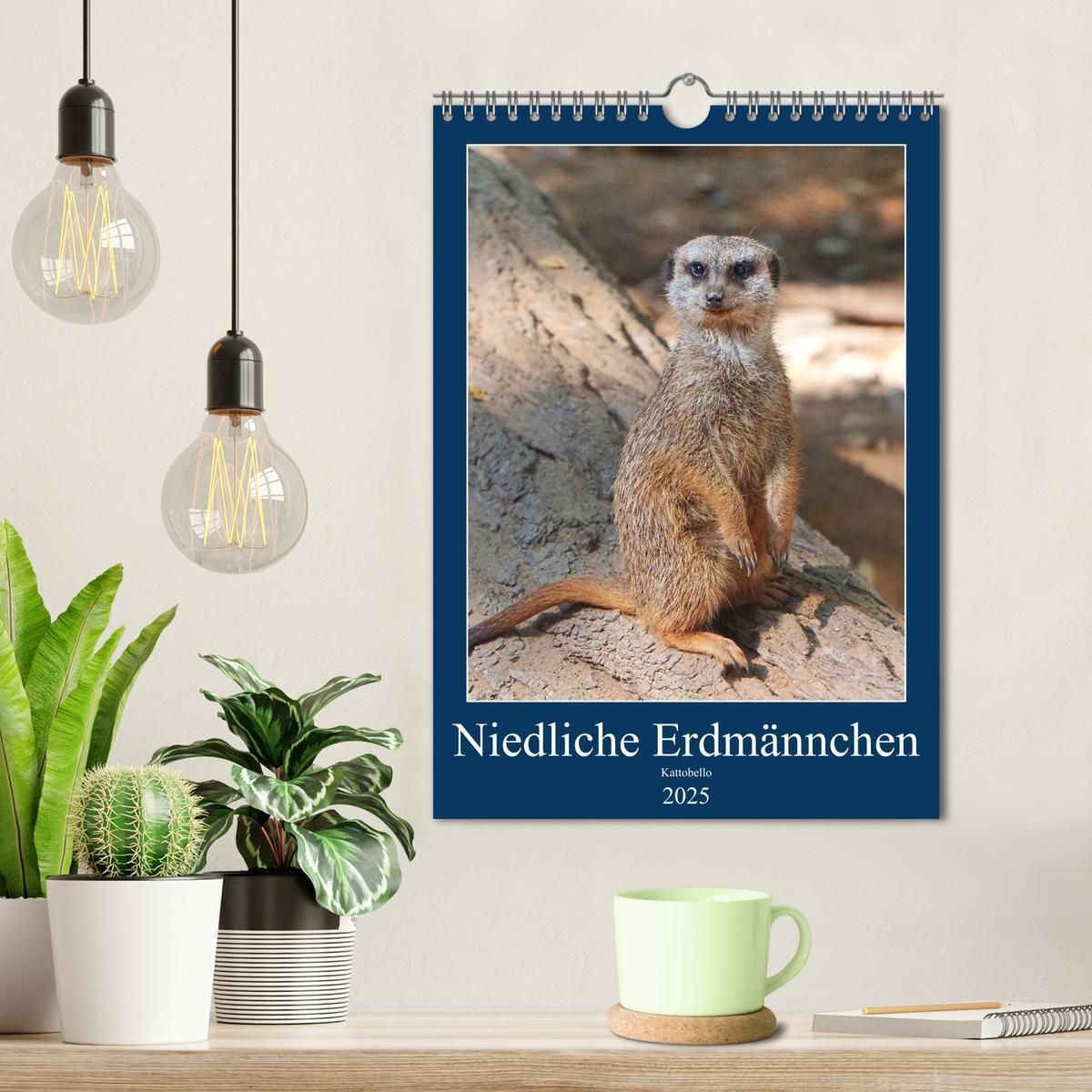 Bild: 9783435932818 | Niedliche Erdmännchen (Wandkalender 2025 DIN A4 hoch), CALVENDO...