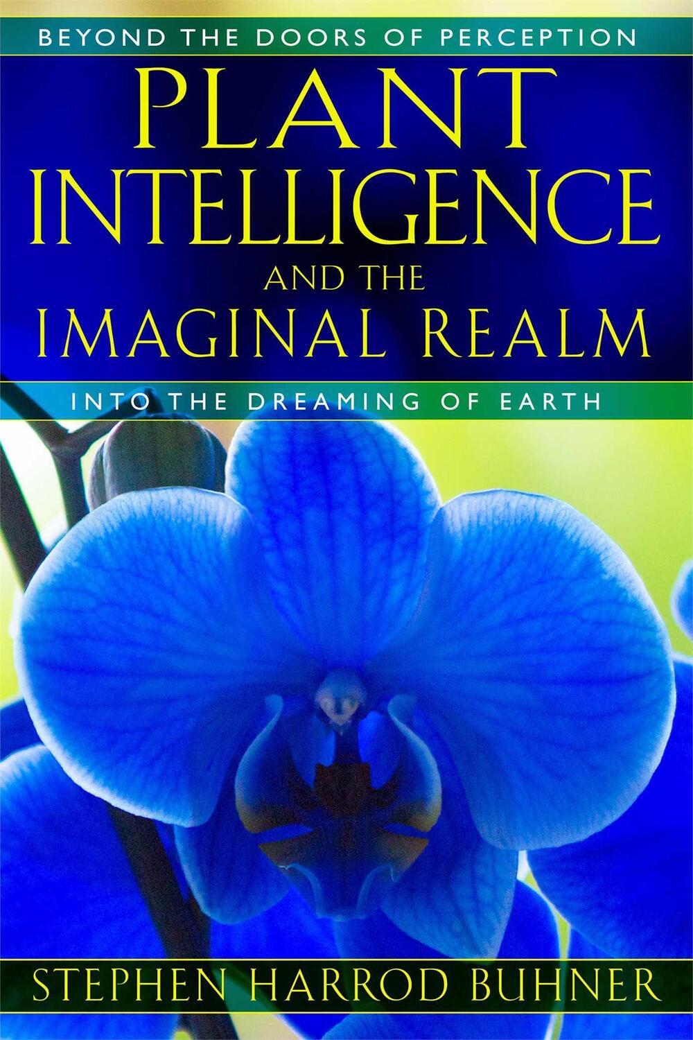 Cover: 9781591431350 | Plant Intelligence and the Imaginal Realm: Beyond the Doors of...