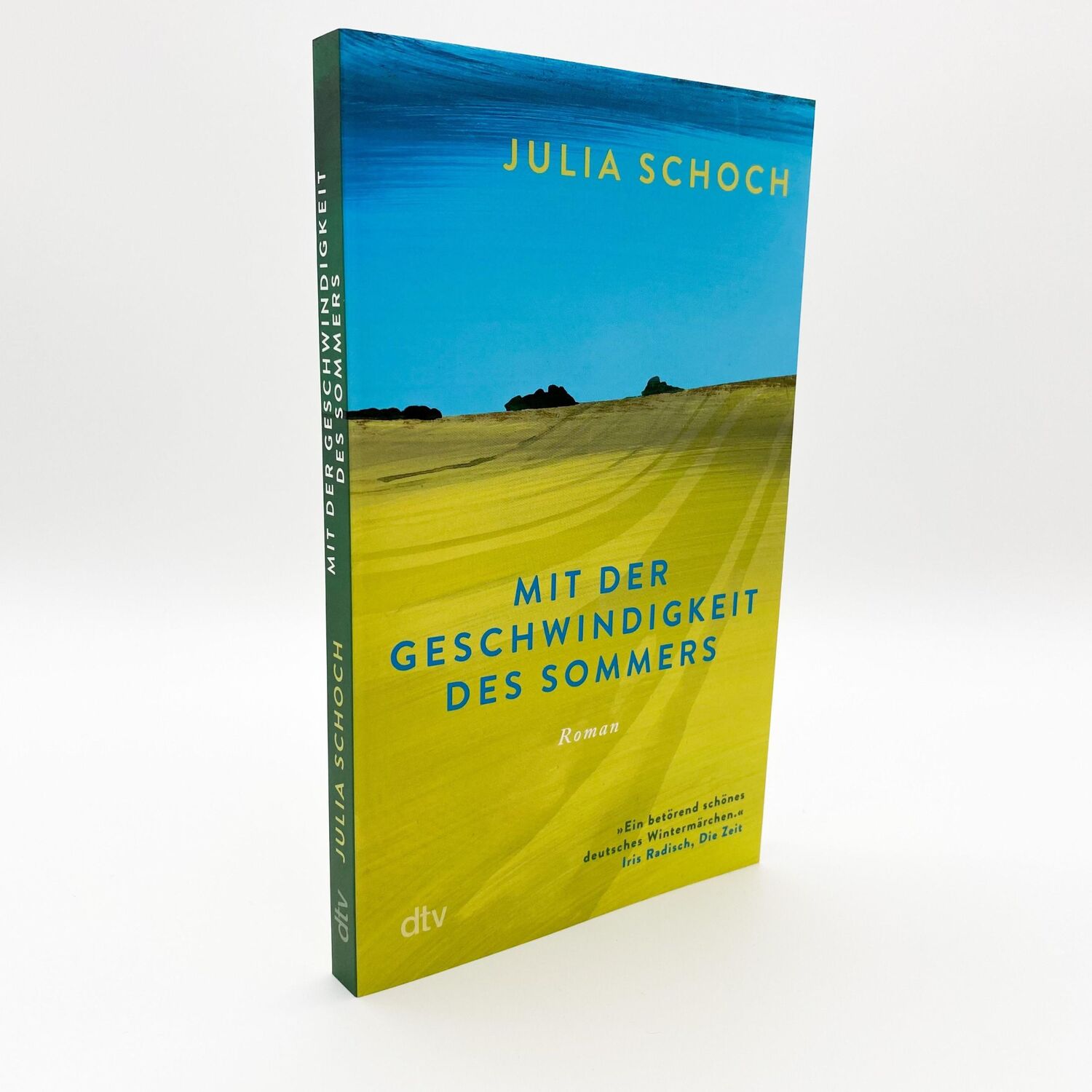 Bild: 9783423148511 | Mit der Geschwindigkeit des Sommers | Julia Schoch | Taschenbuch