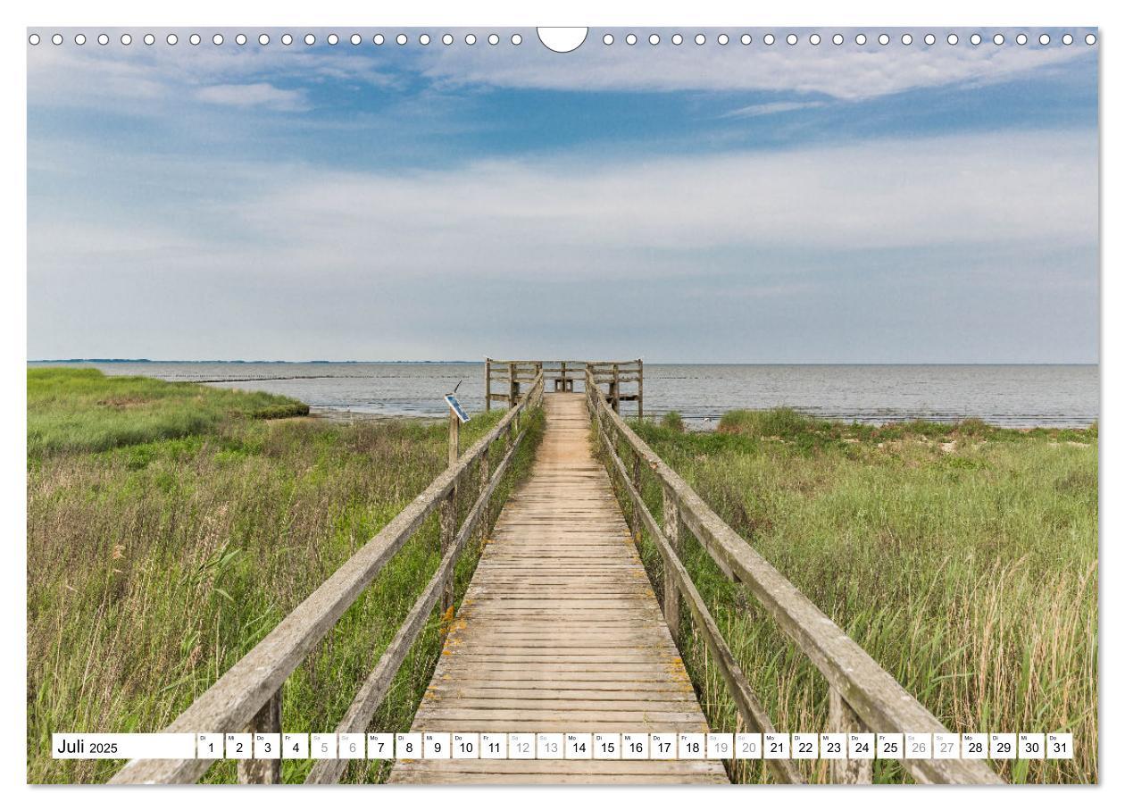 Bild: 9783383962233 | Amrum - Perle im nordfriesischen Wattenmeer (Wandkalender 2025 DIN...