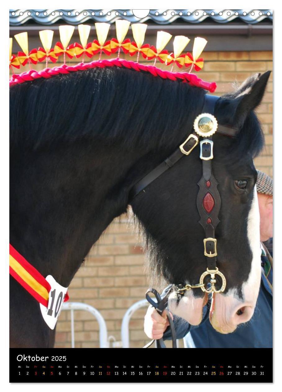 Bild: 9783457069646 | Shire Horse - Geschmückte Riesen (Wandkalender 2025 DIN A3 hoch),...