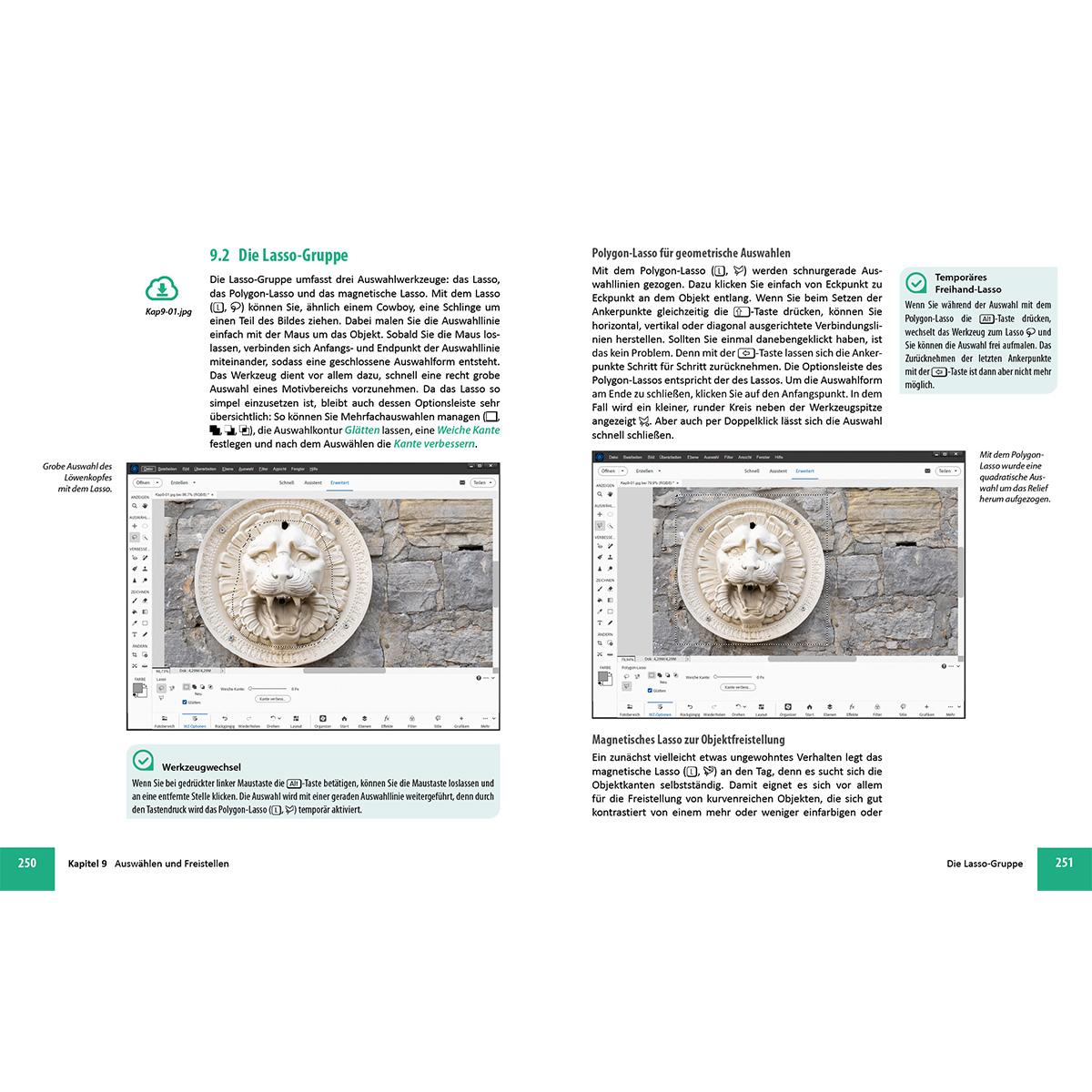 Bild: 9783832806910 | Photoshop Elements 2025 - Das umfangreiche Praxisbuch | Sänger (u. a.)