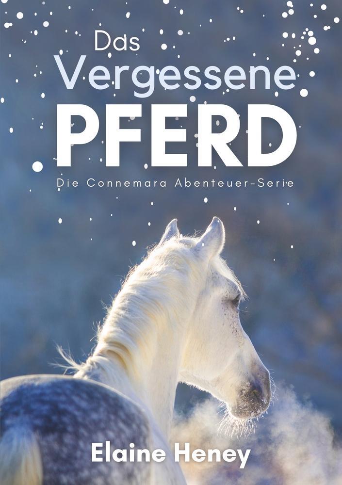 Cover: 9783757908911 | Das vergessene Pferd - Die Connemara Abenteuer-Serie | Elaine Heney