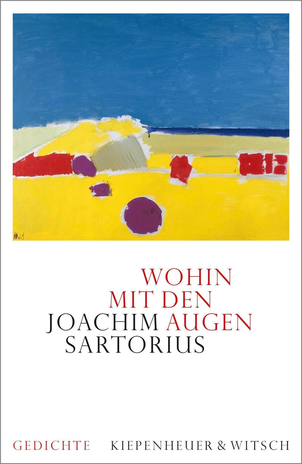 Cover: 9783462053005 | Wohin mit den Augen | Gedichte | Joachim Sartorius | Buch | 78 S.